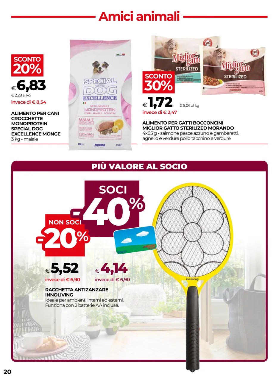 Pagina 20