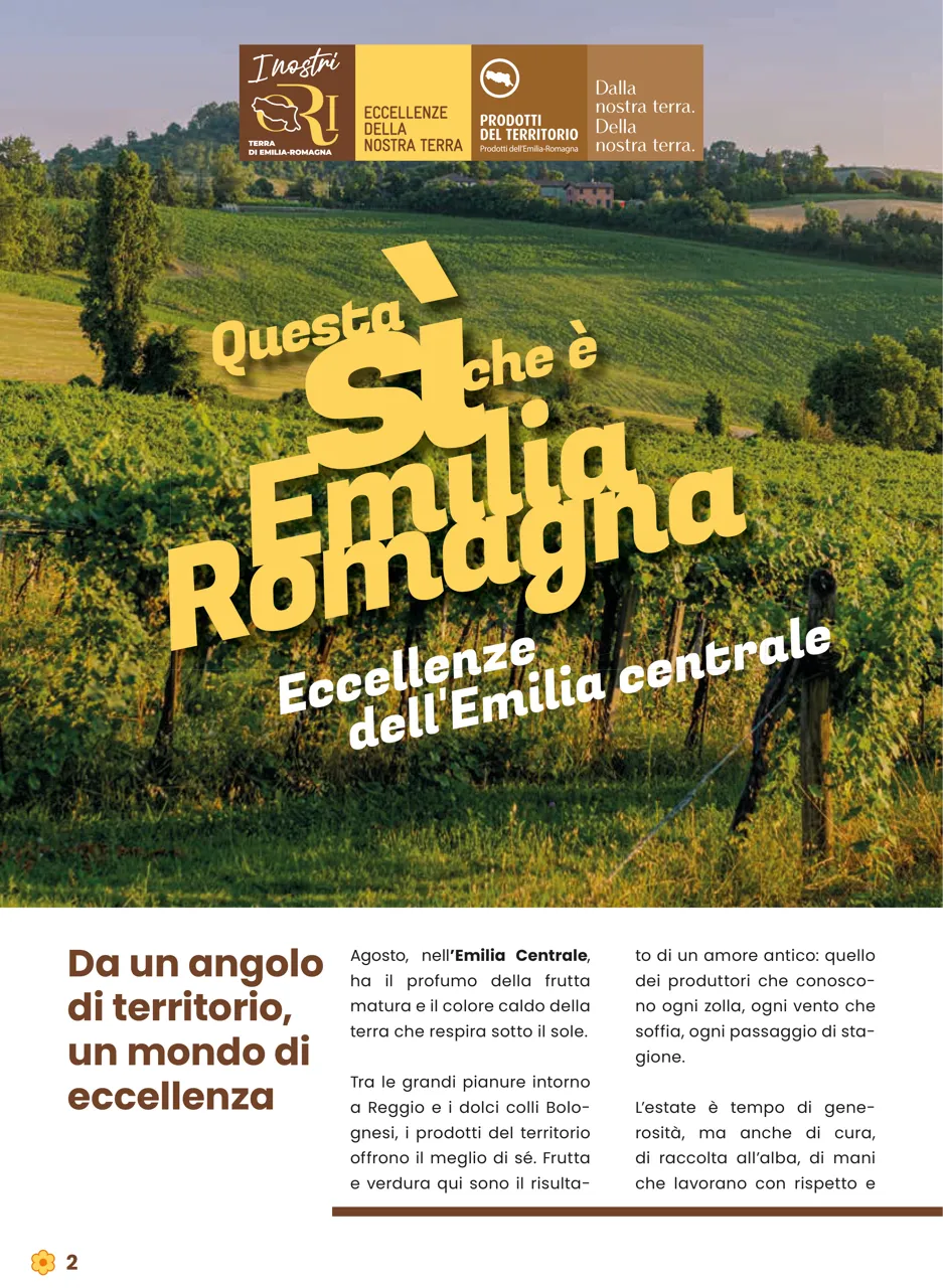 Pagina 2
