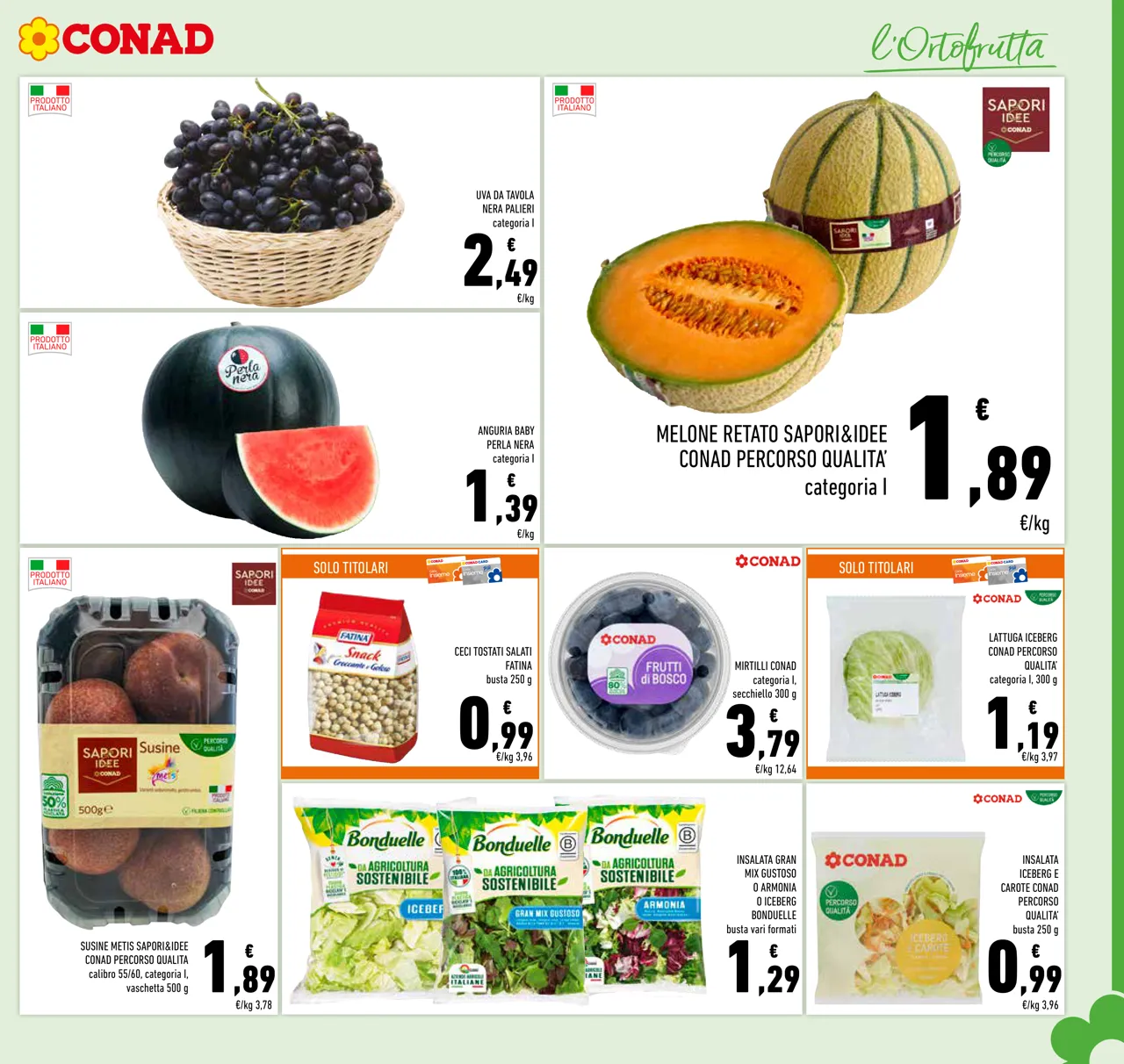 Pagina 5