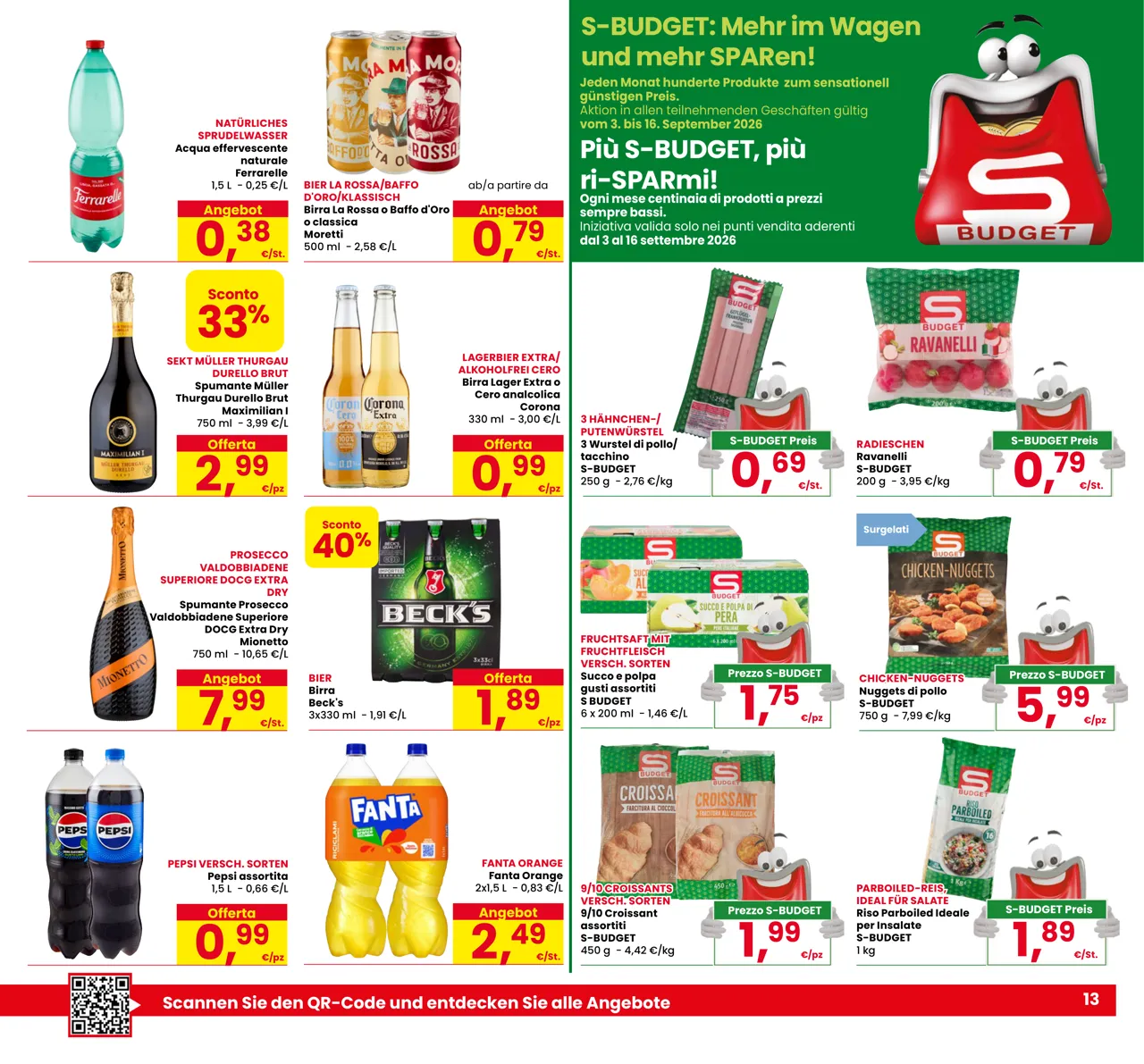 Pagina 13