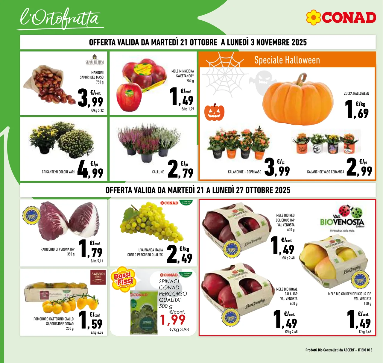 Pagina 4