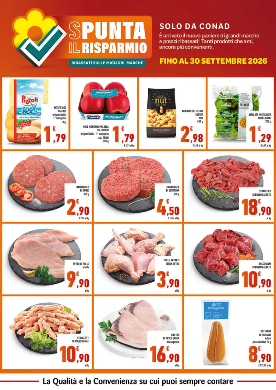Pagina 2