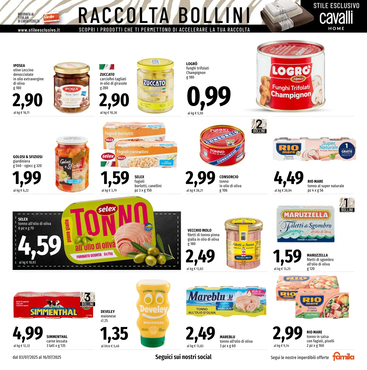 Pagina 11