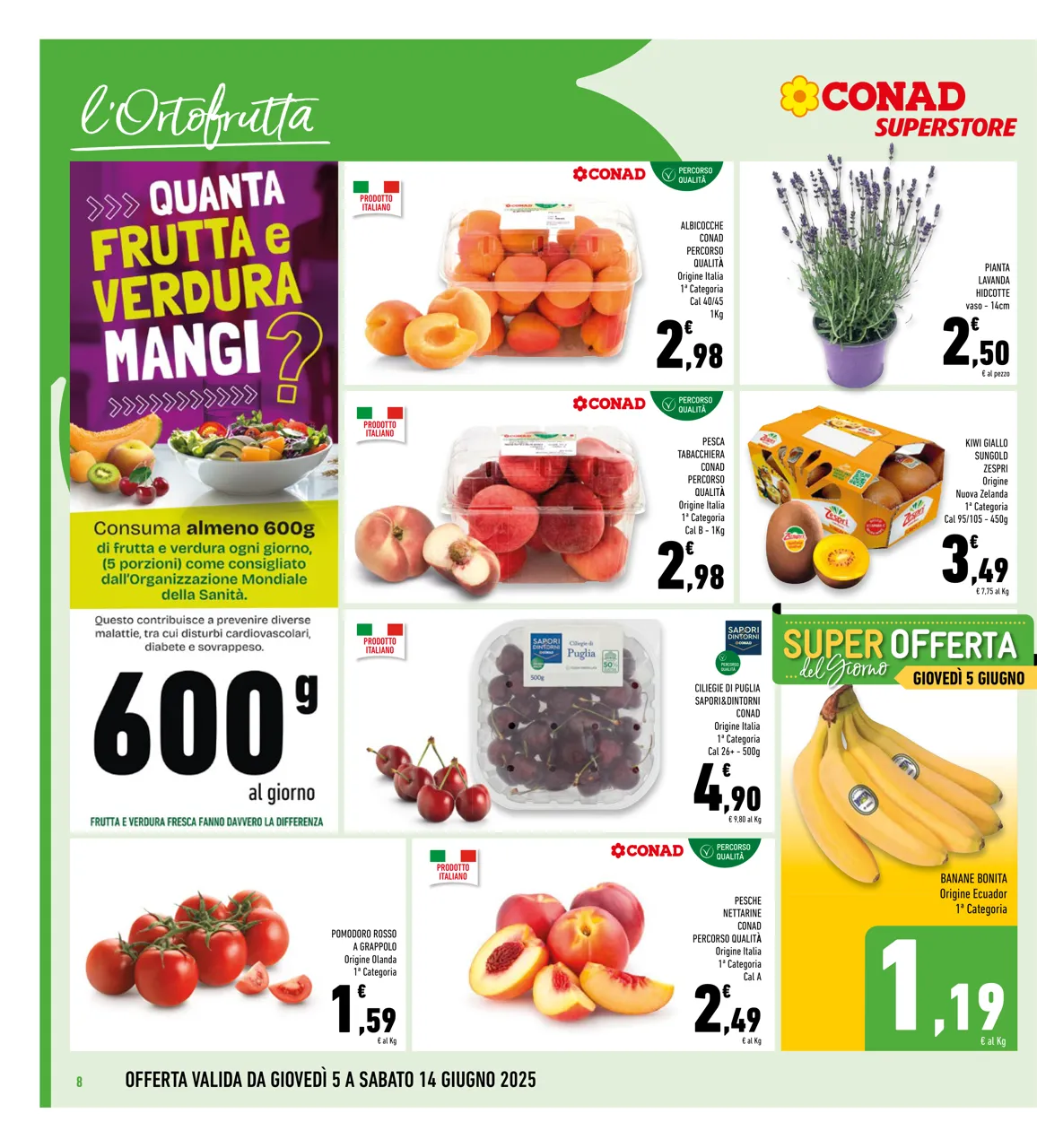 Pagina 8