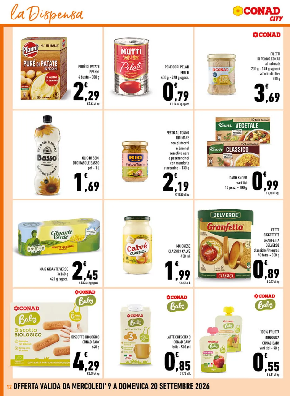 Pagina 12