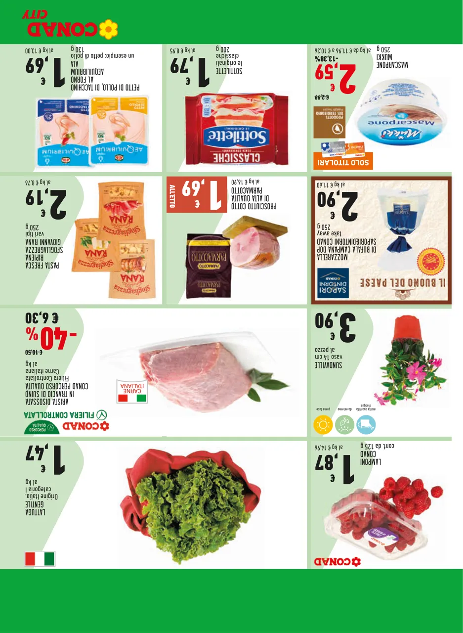 Pagina 19