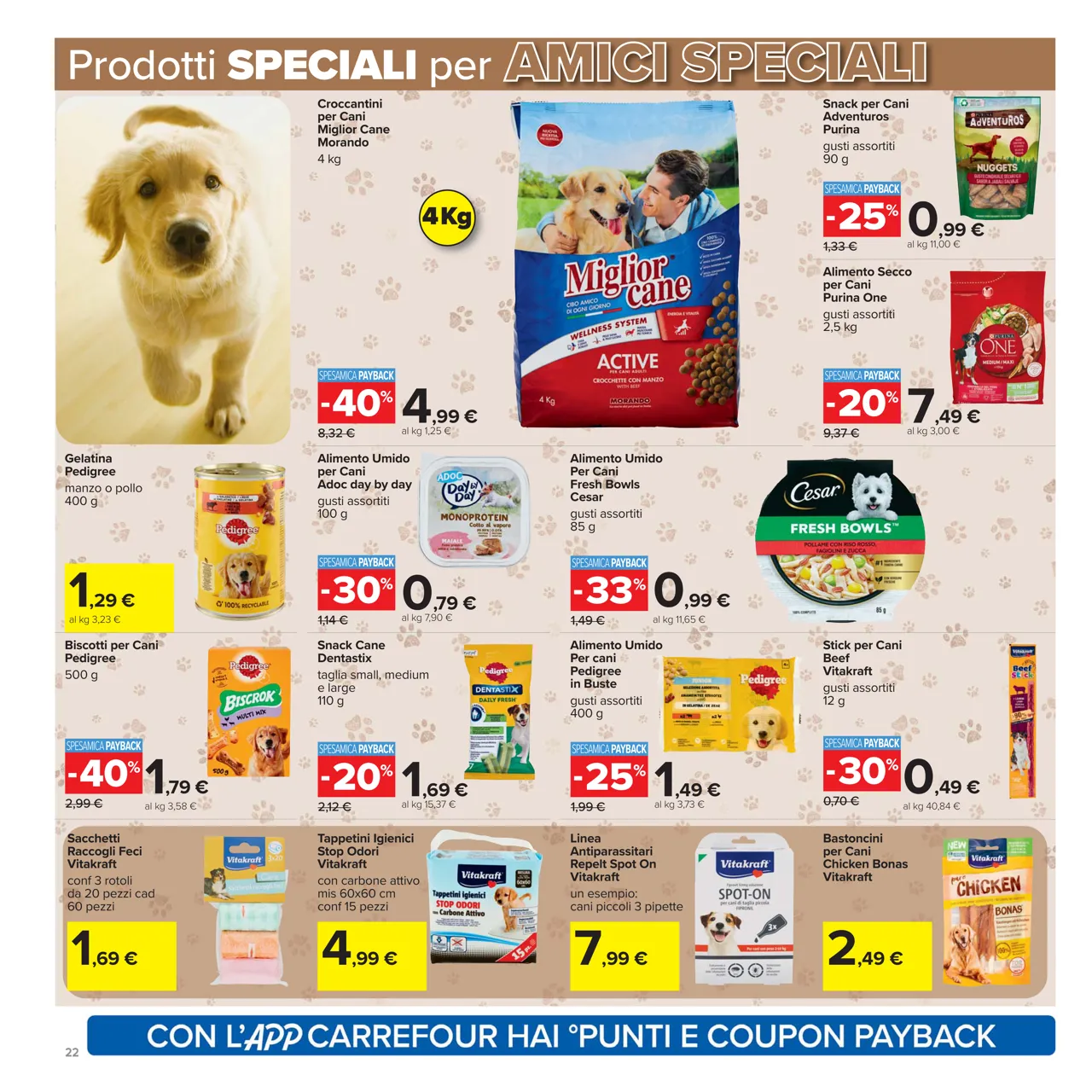 Pagina 22