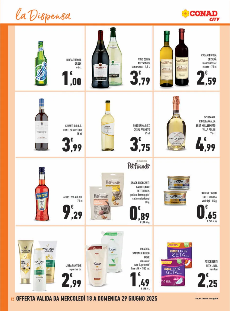 Pagina 12