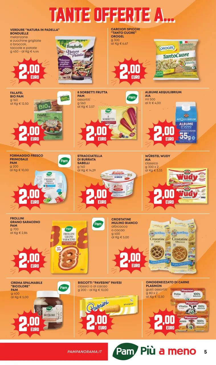 Pagina 5