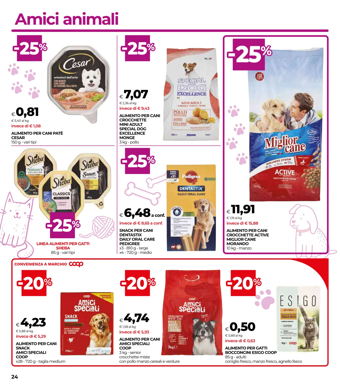 Pagina 24