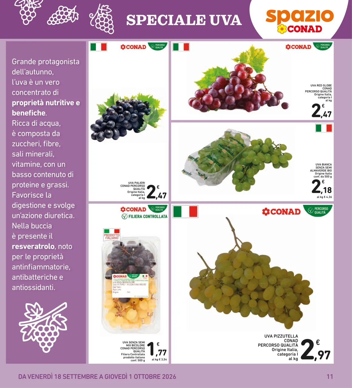 Pagina 11