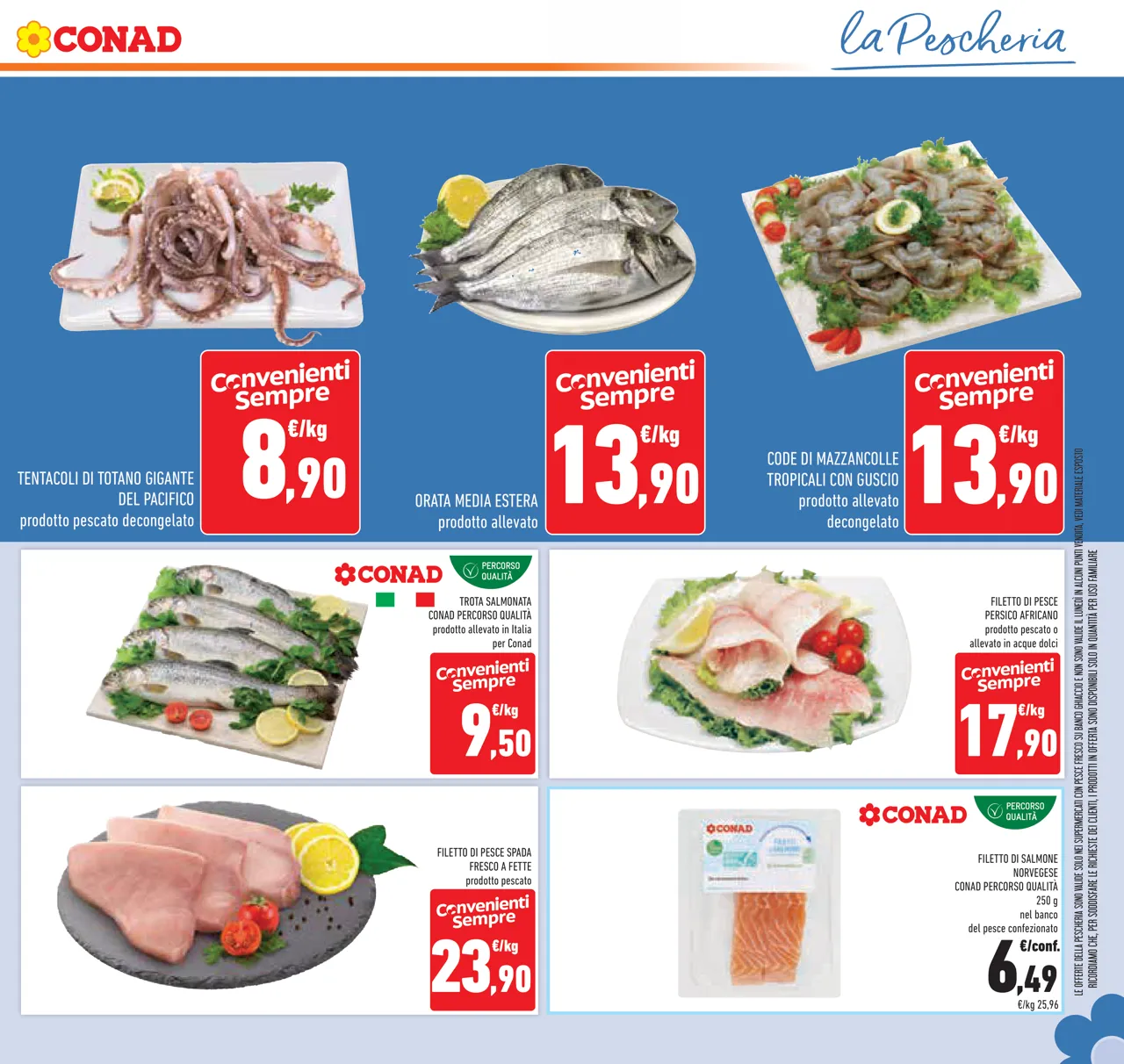 Pagina 27
