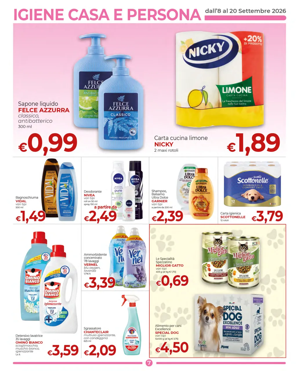 Pagina 7