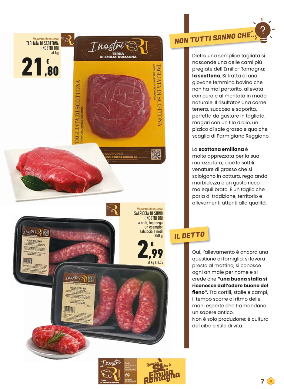 Pagina 7