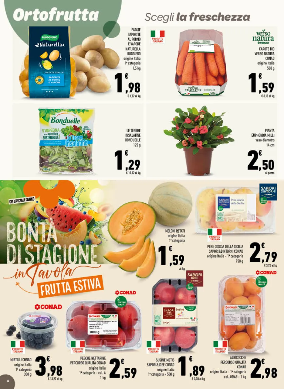 Pagina 4