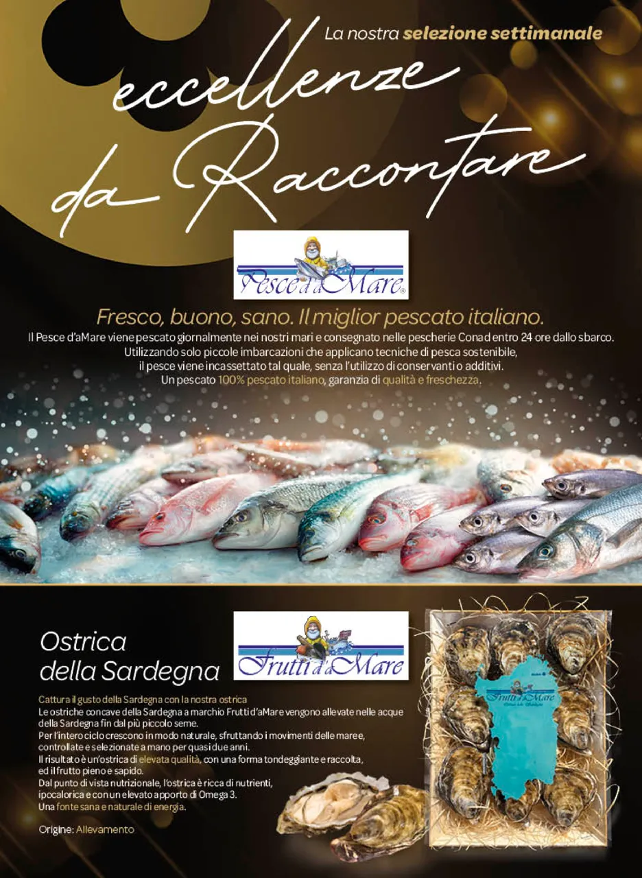 Pagina 15