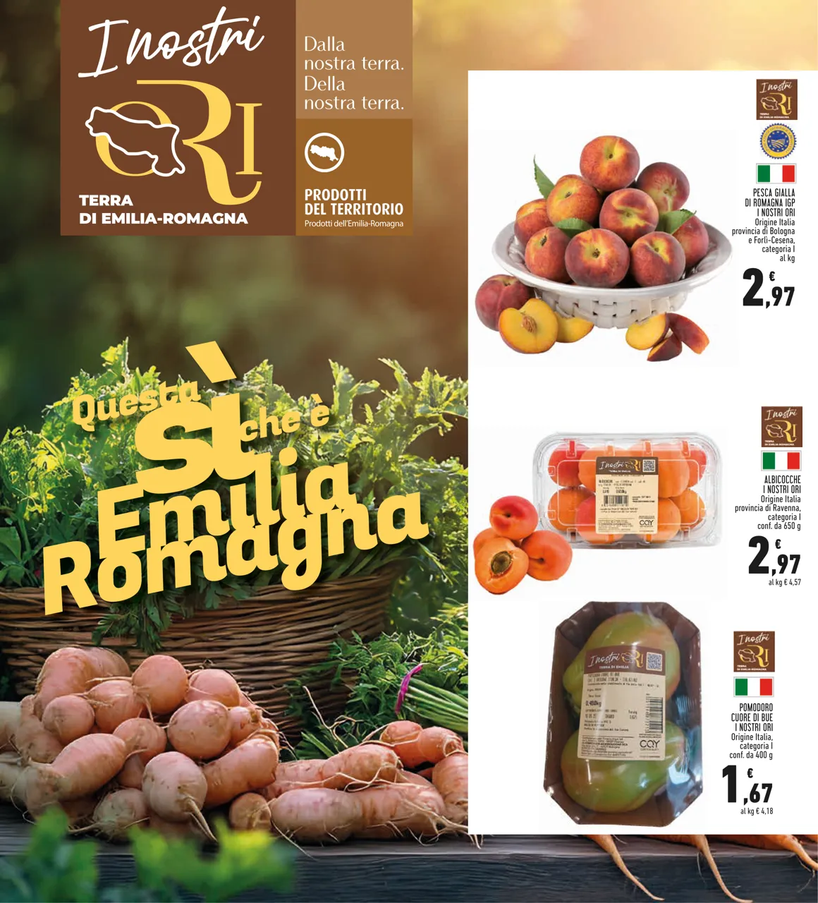Pagina 6