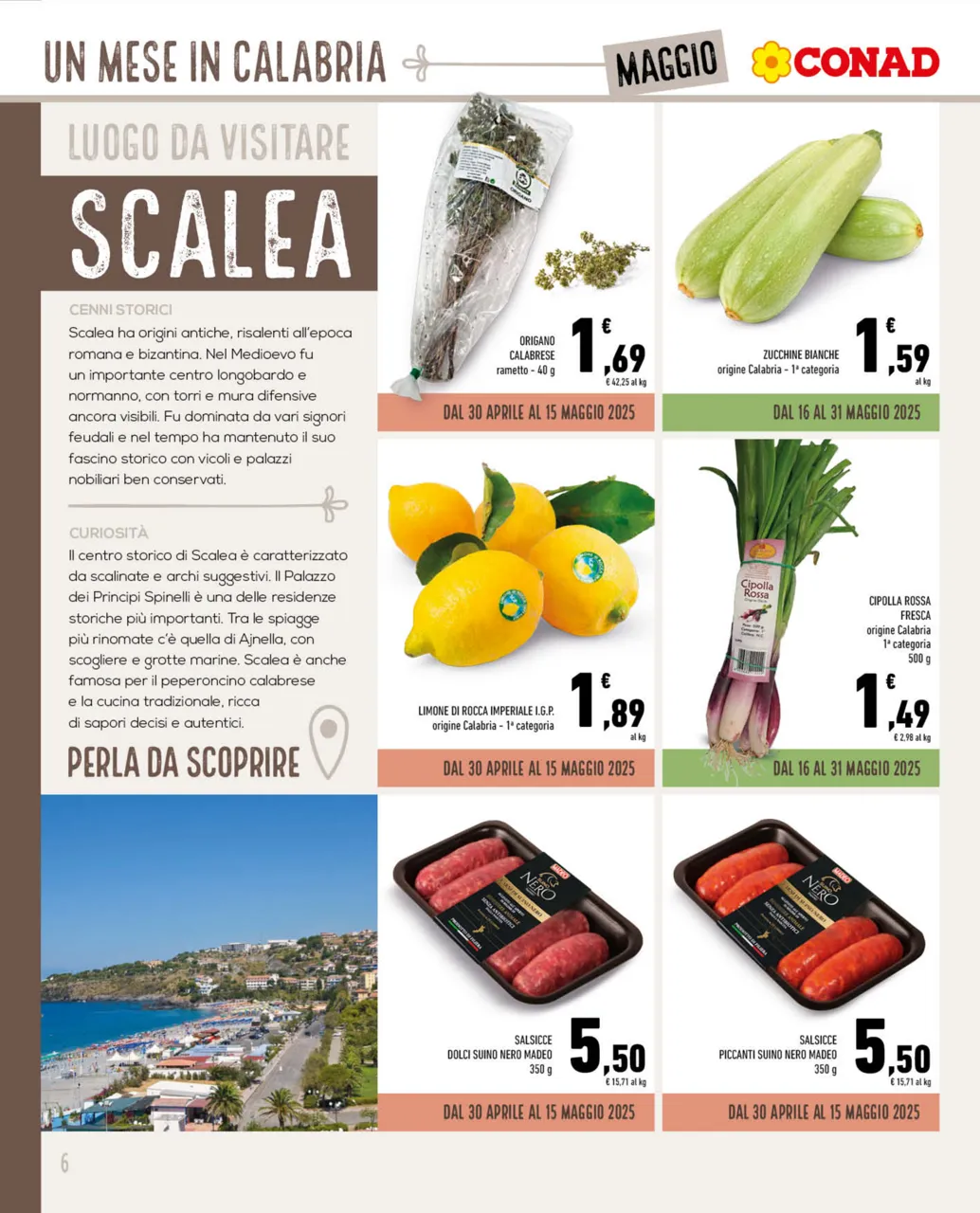 Pagina 6