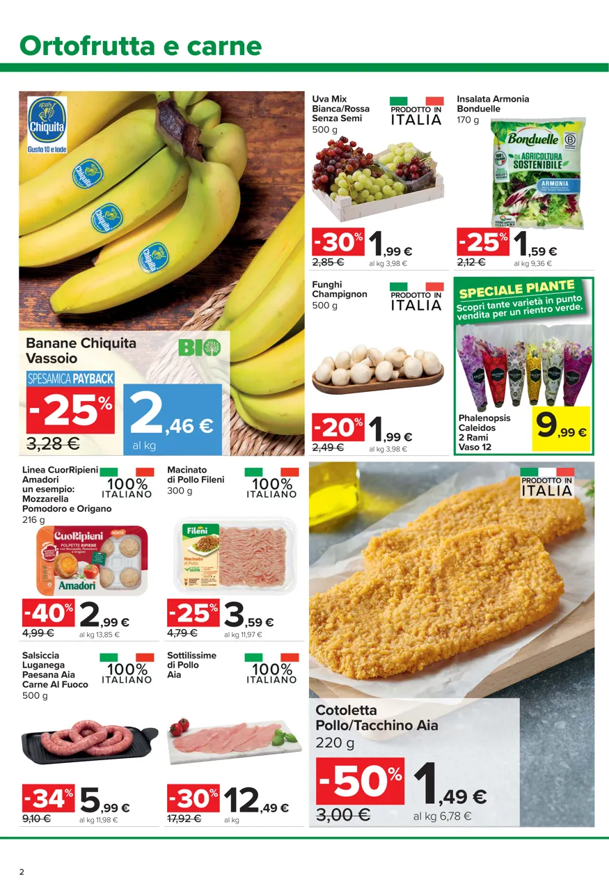 Pagina 2