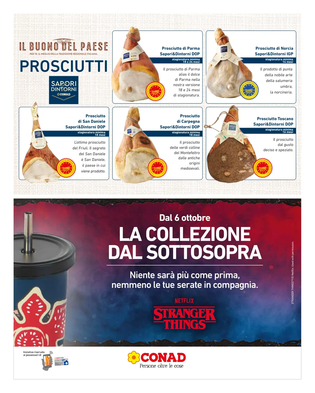 Pagina 11