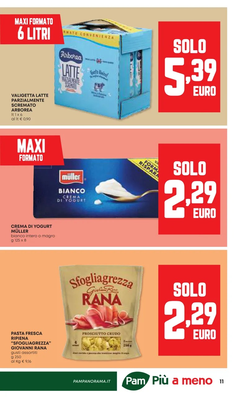 Pagina 11