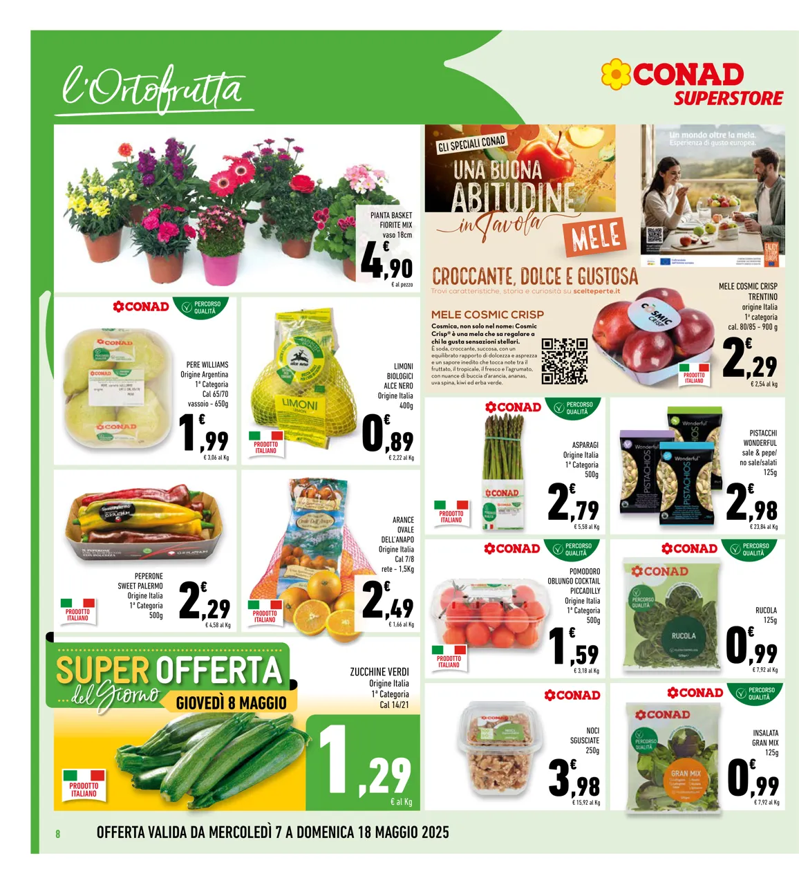 Pagina 8