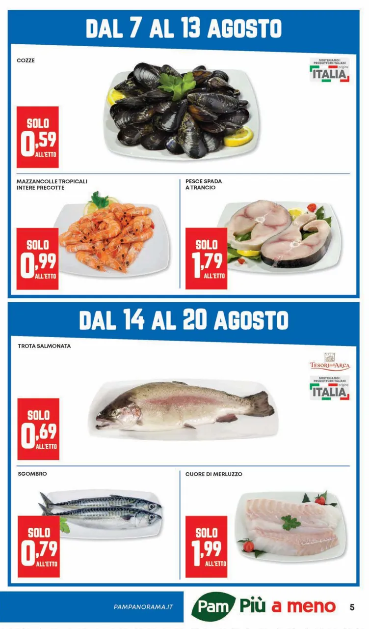 Pagina 5