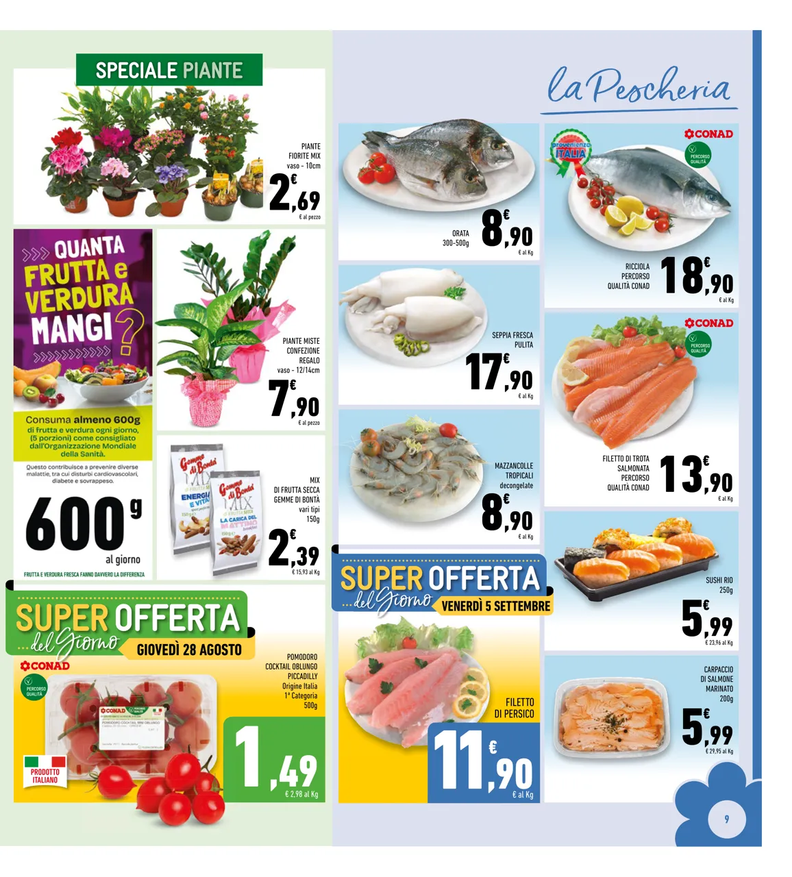 Pagina 9