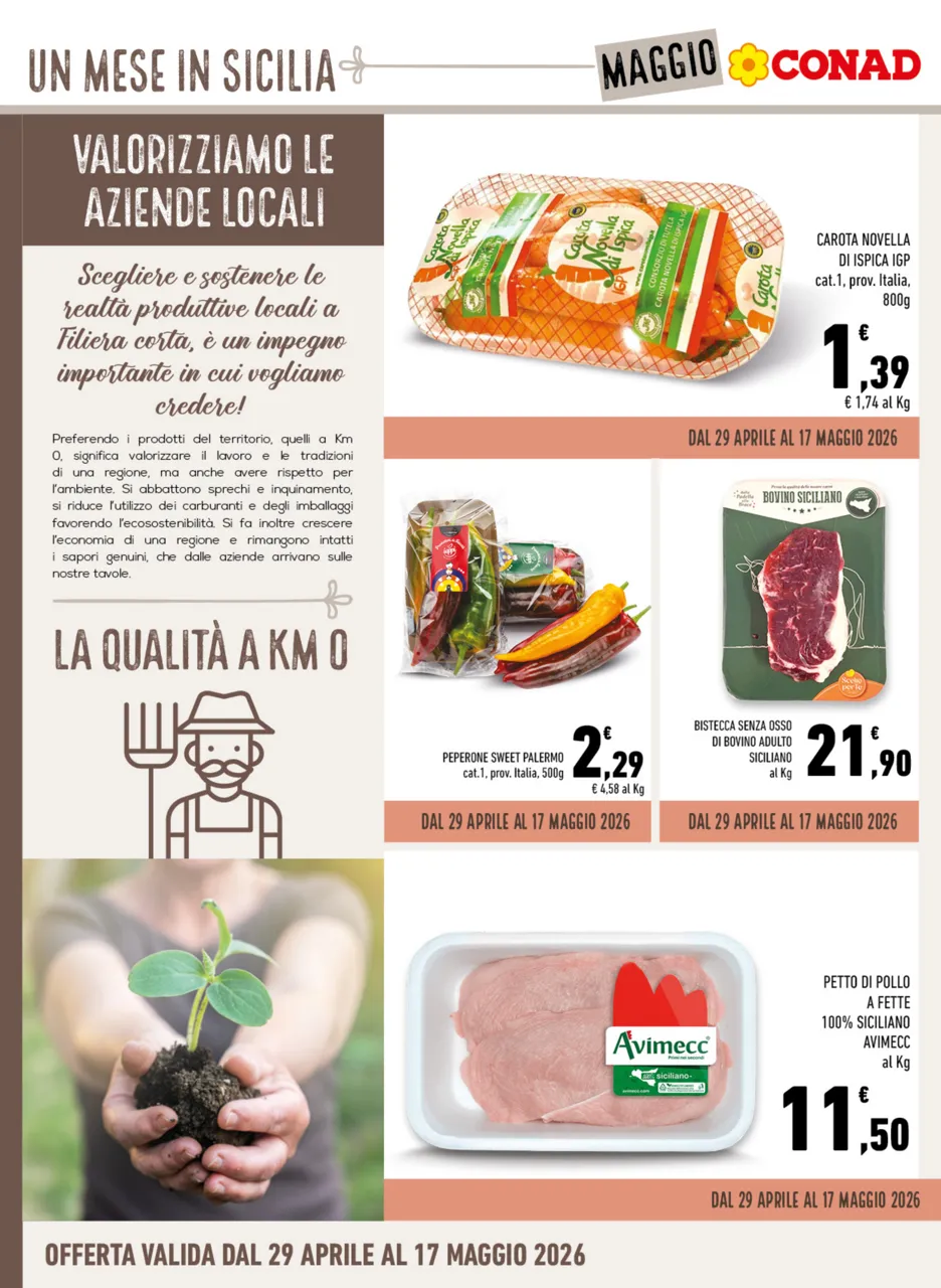 Pagina 6
