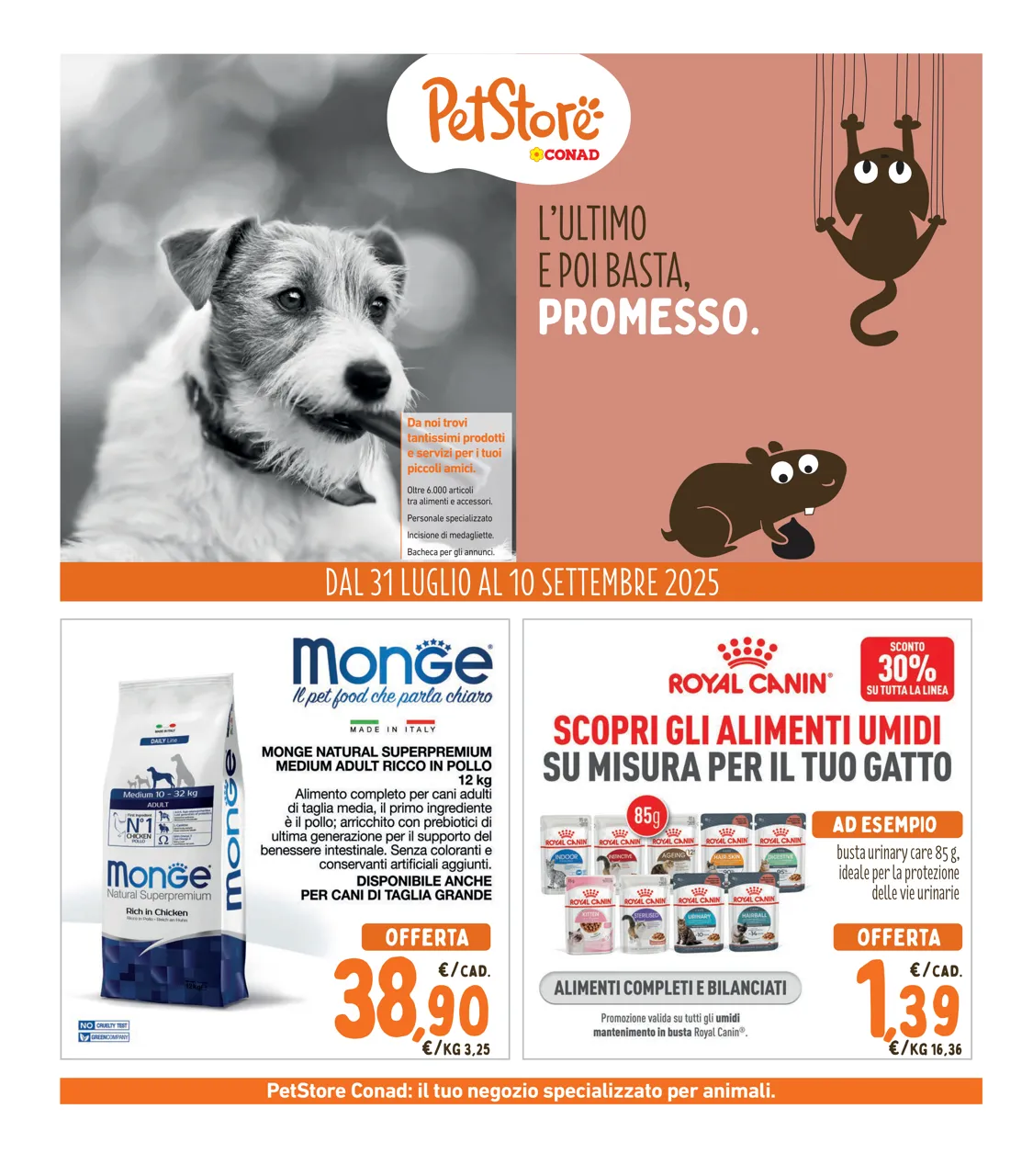 Pagina 28