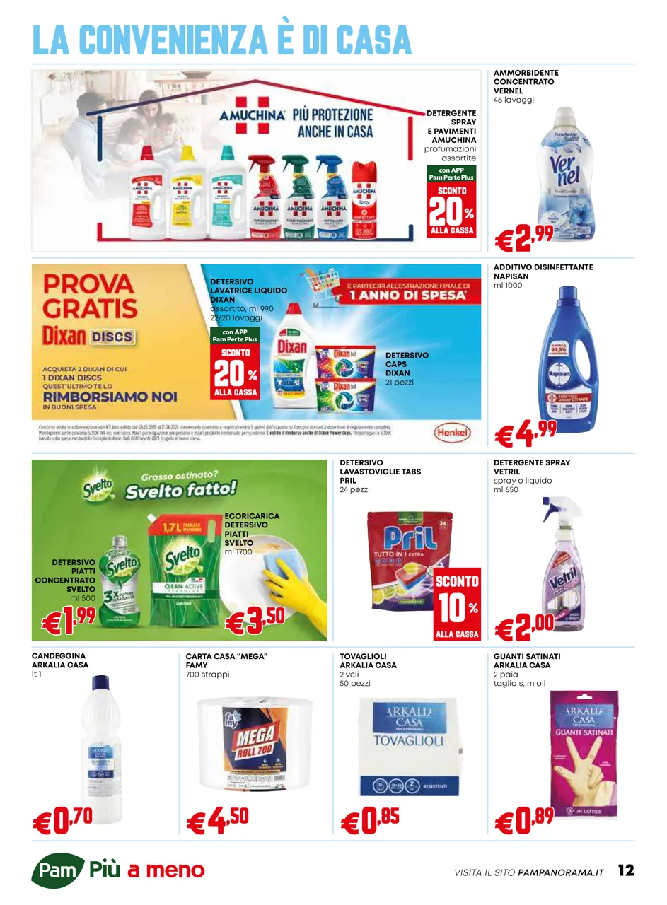 Pagina 12