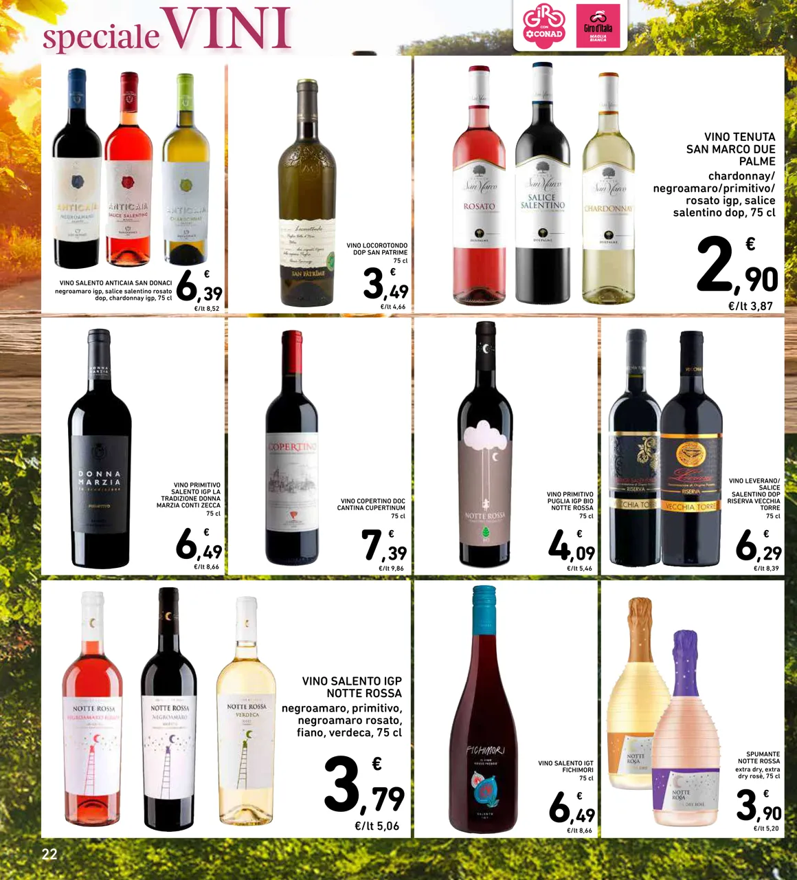 Pagina 22