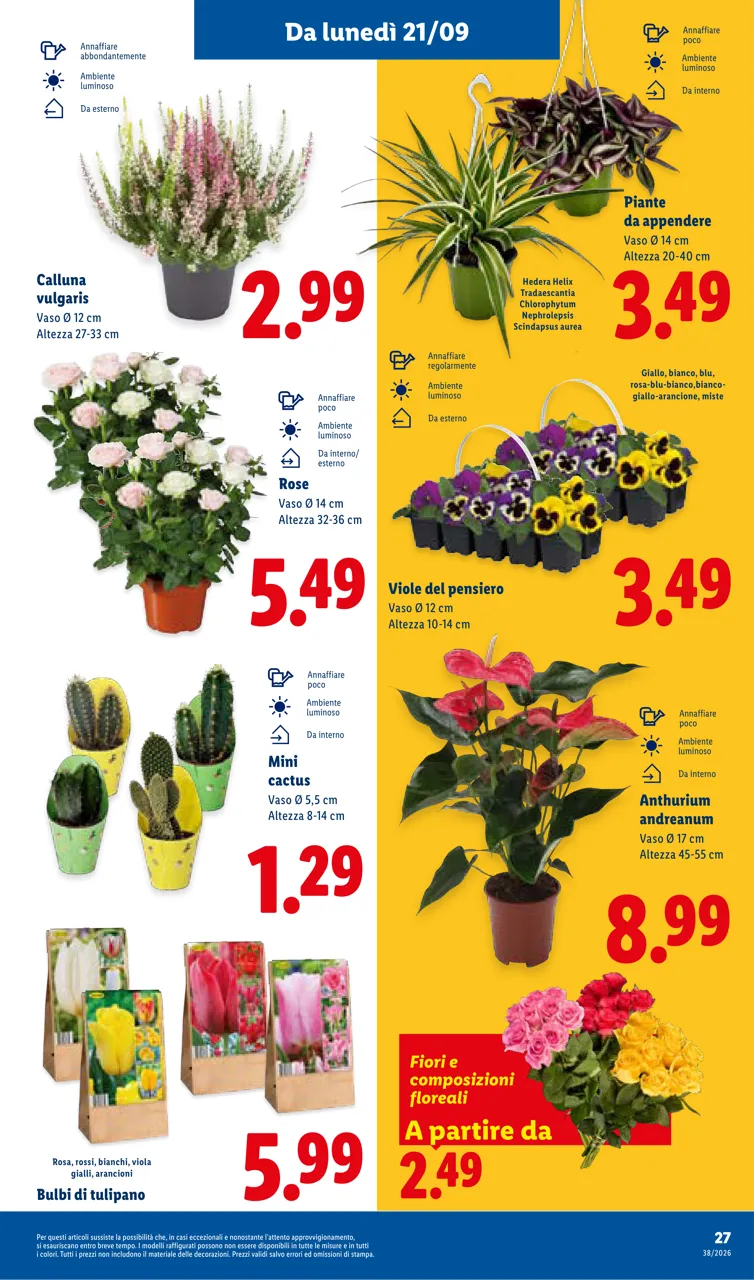 Pagina 33