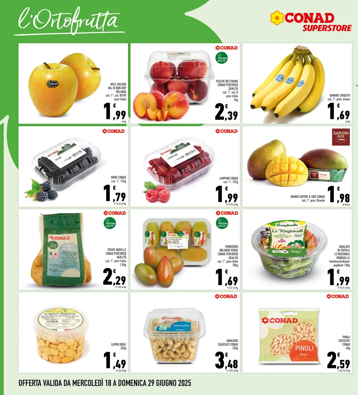 Pagina 6