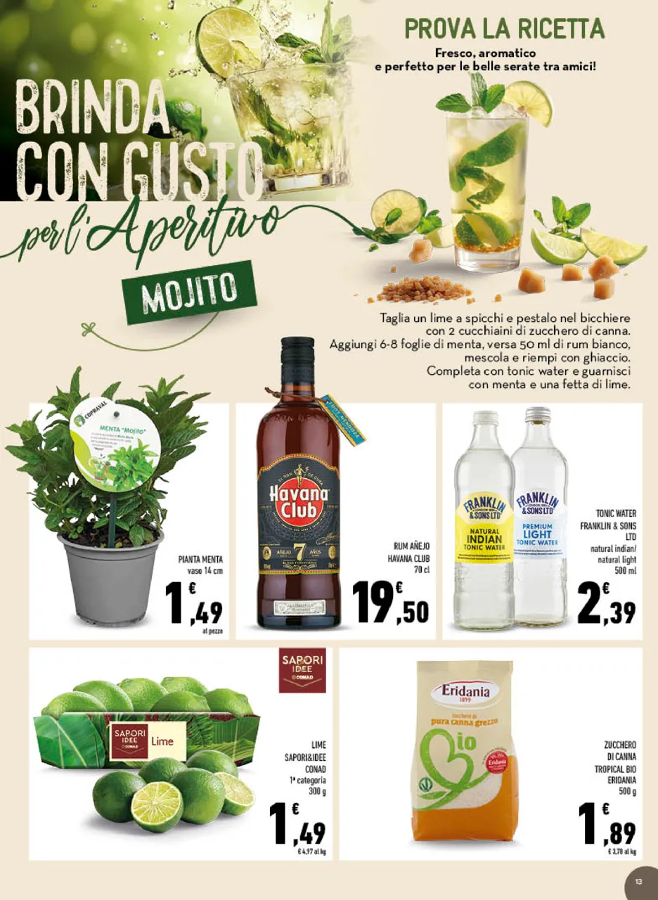 Pagina 13