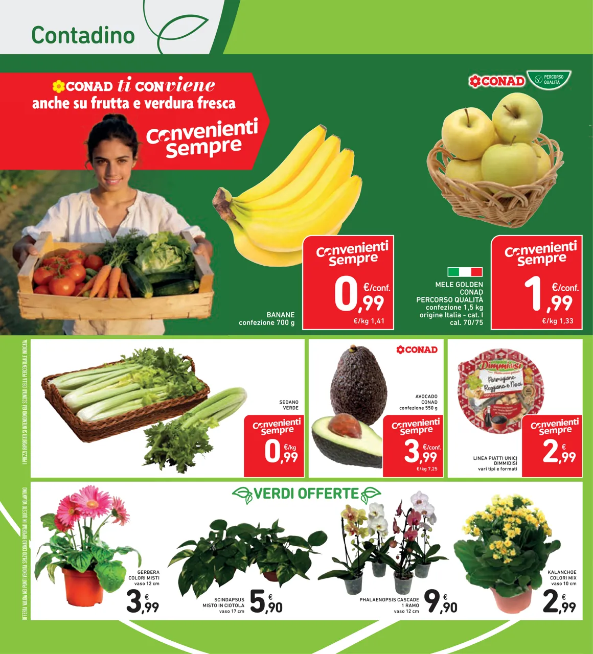 Pagina 34