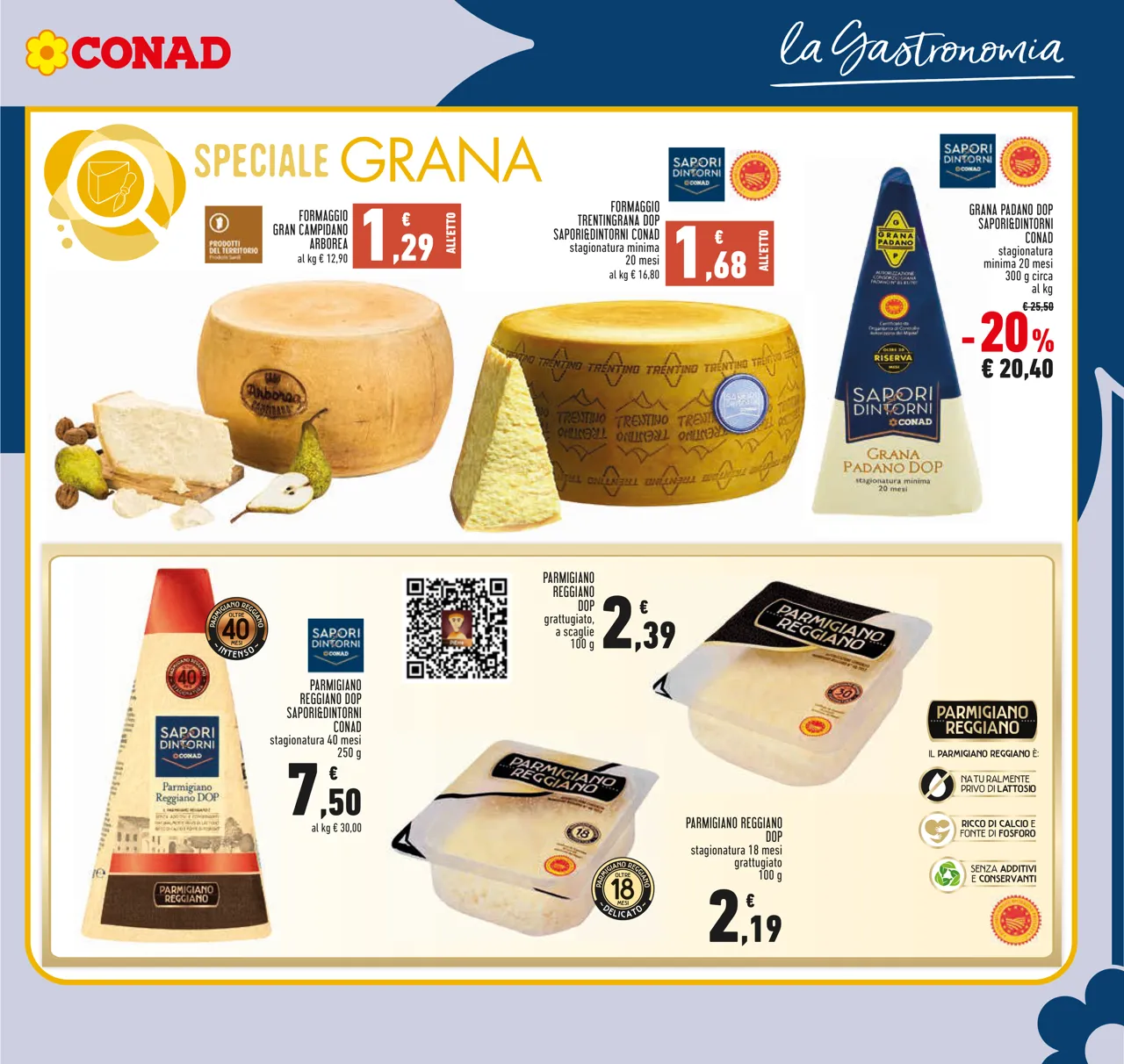 Pagina 11