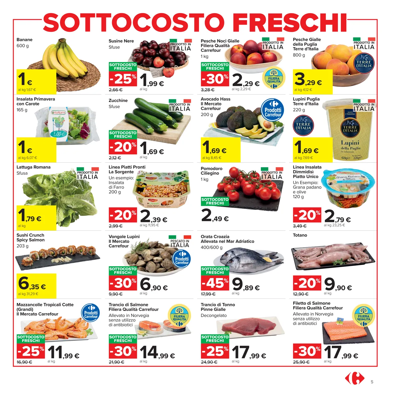Pagina 5