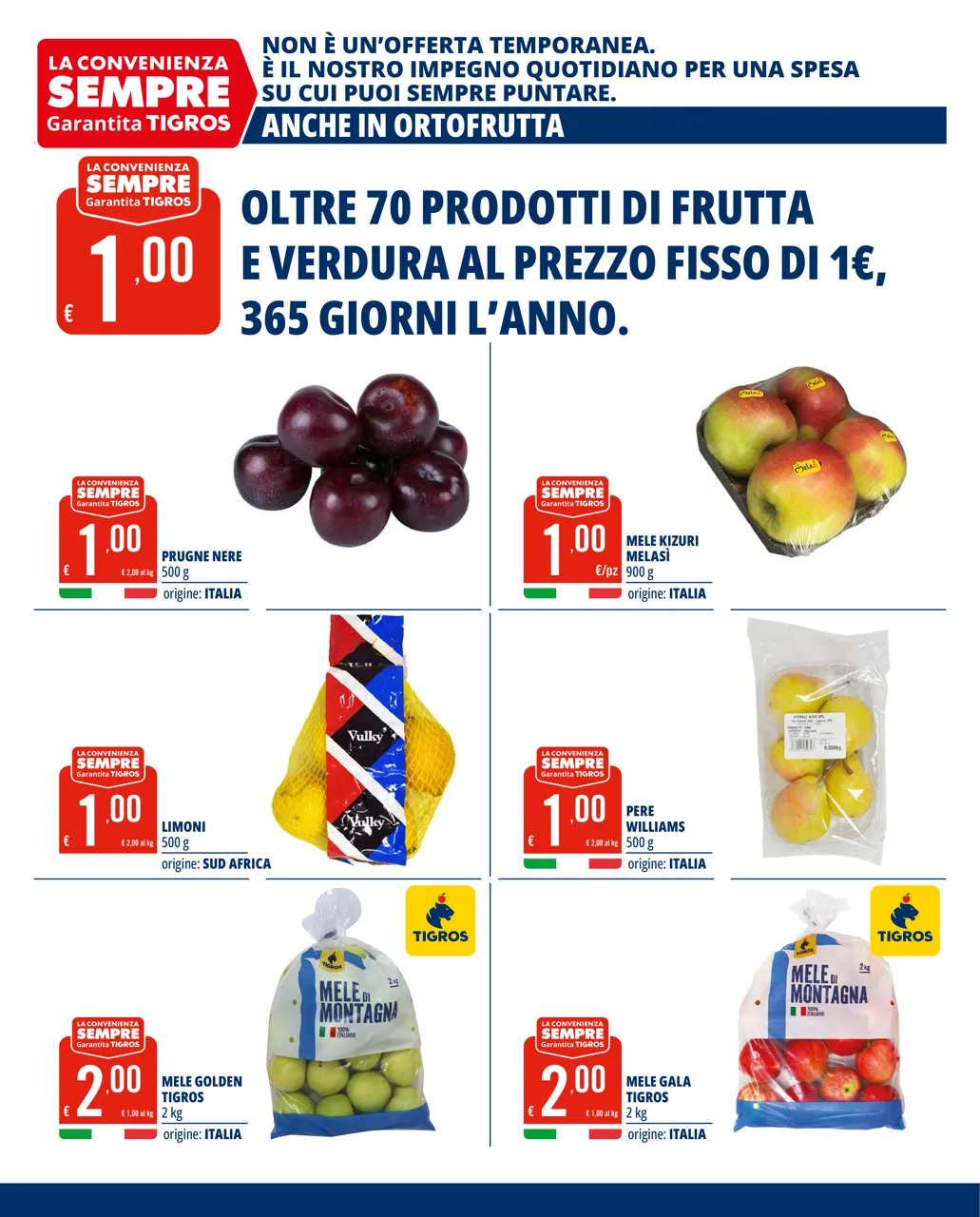 Pagina 7