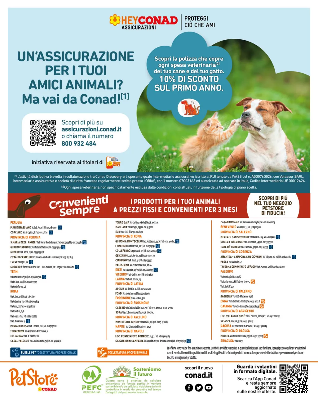 Pagina 8