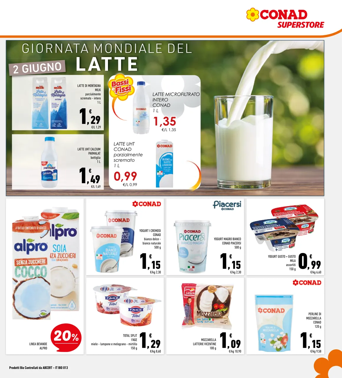 Pagina 13