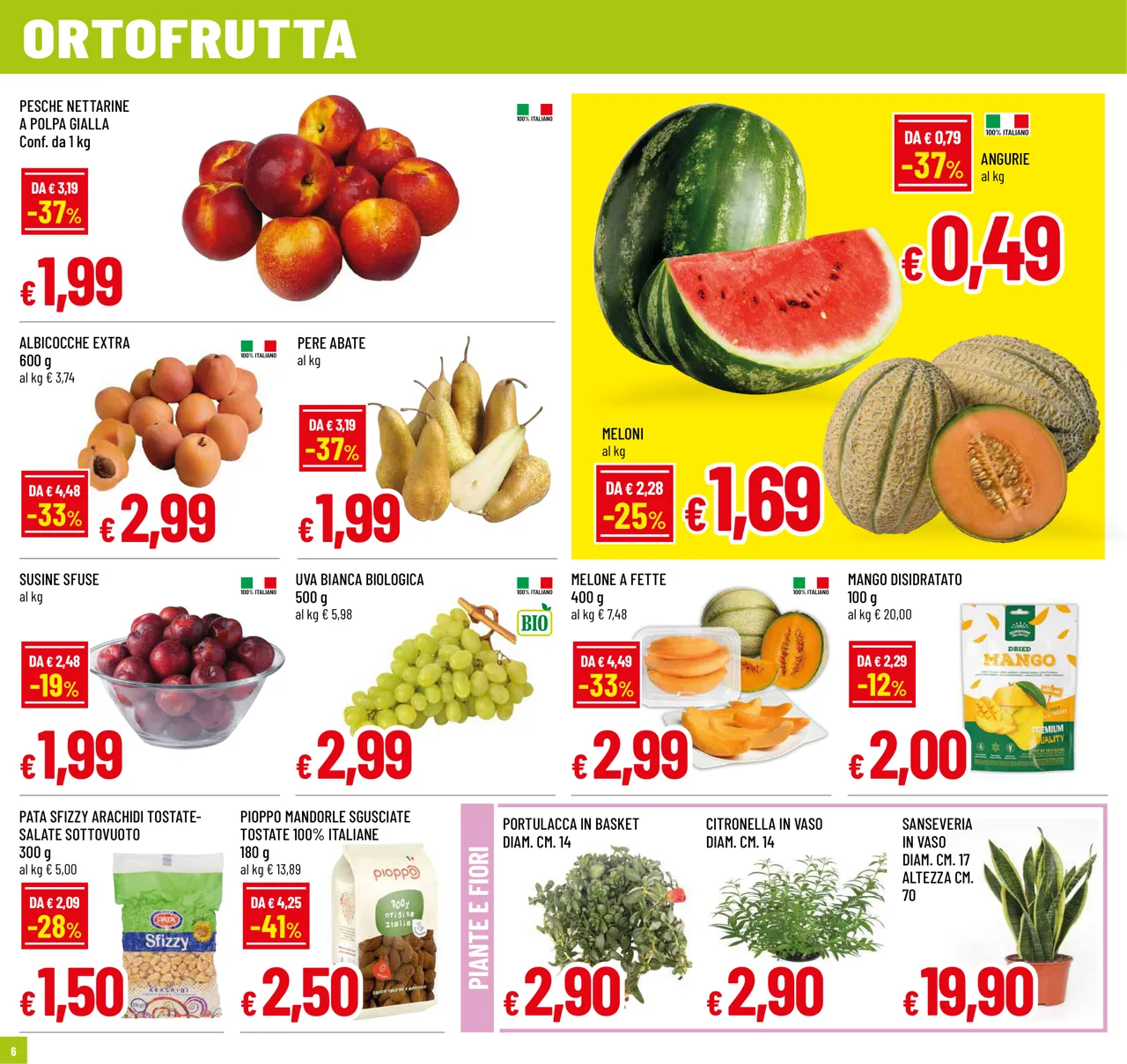 Pagina 6