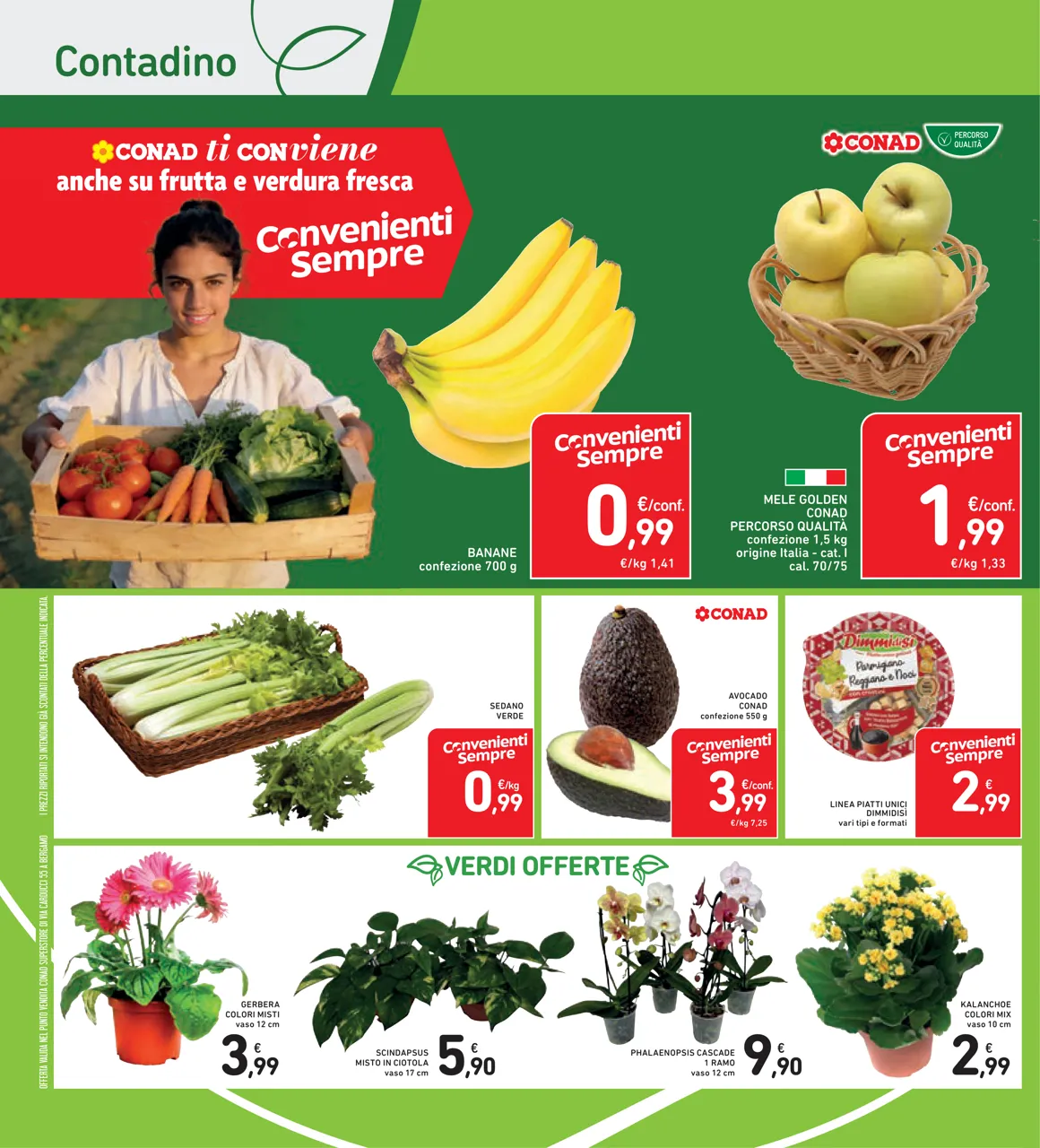 Pagina 34