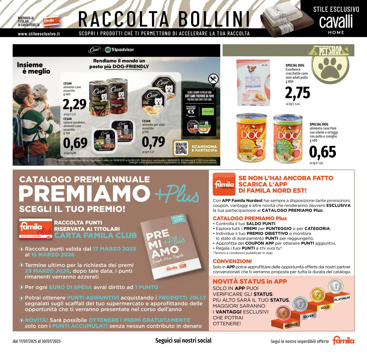 Pagina 21