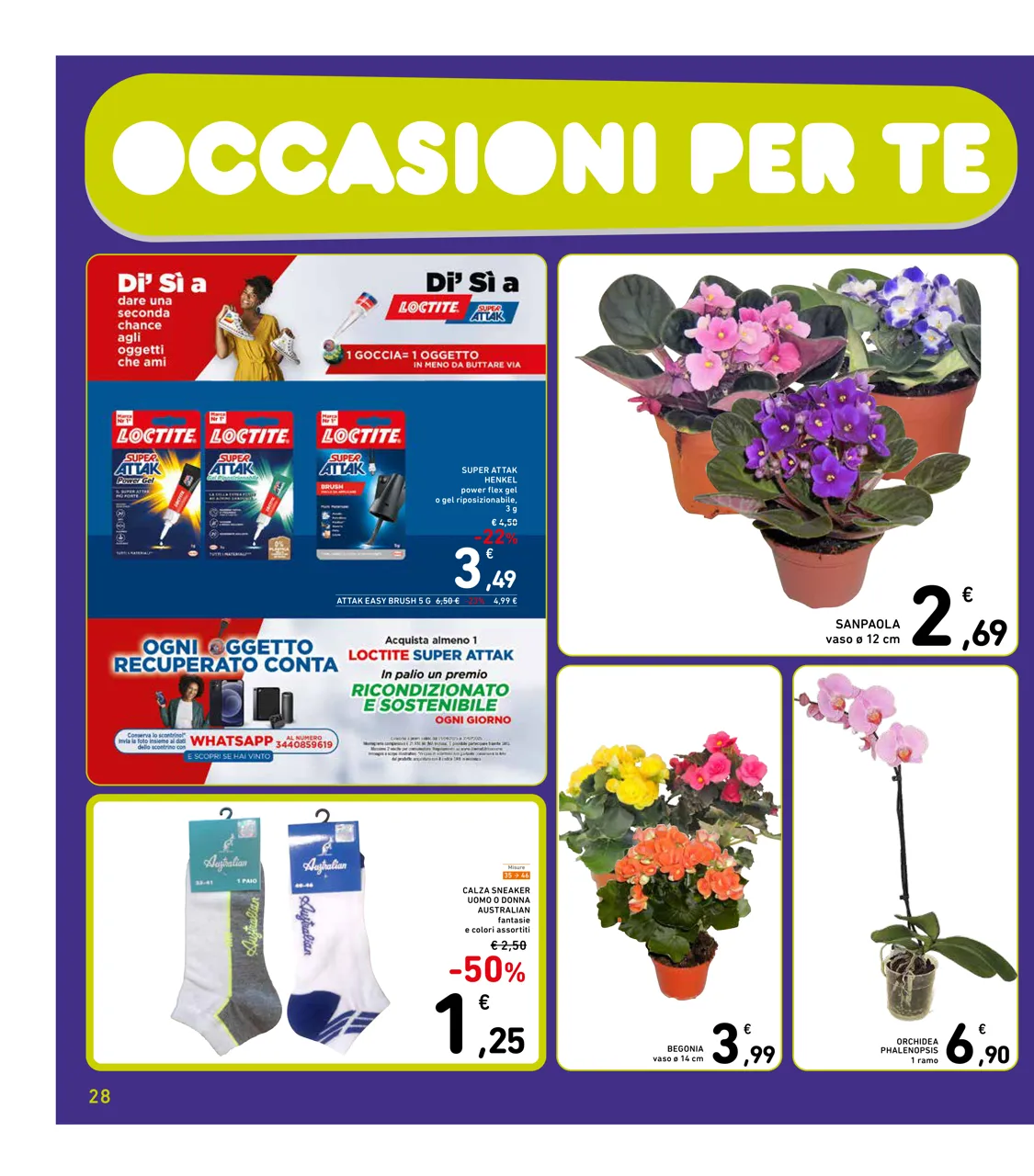 Pagina 28