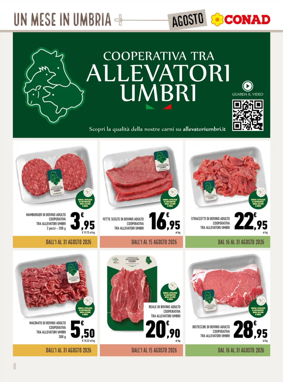 Pagina 8