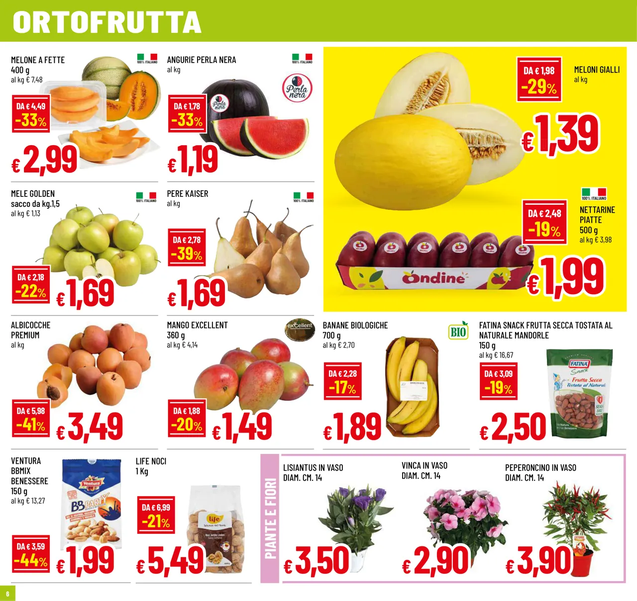 Pagina 6