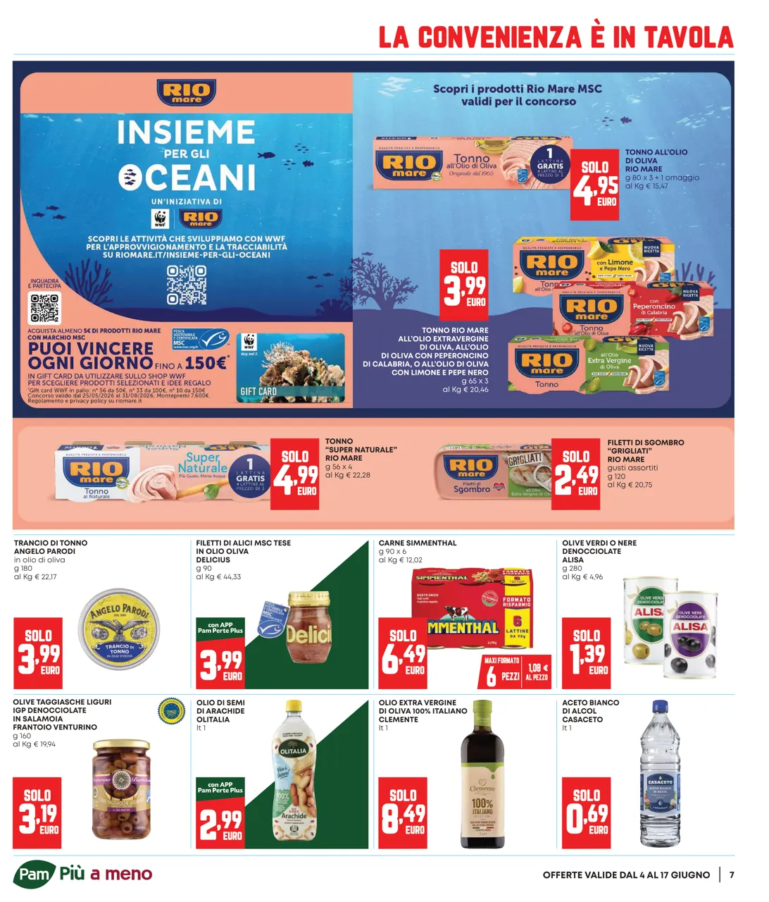 Pagina 7