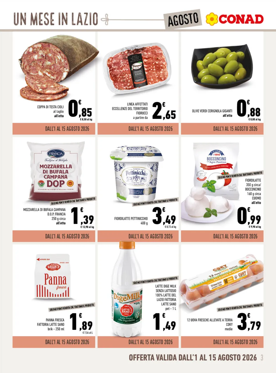 Pagina 3