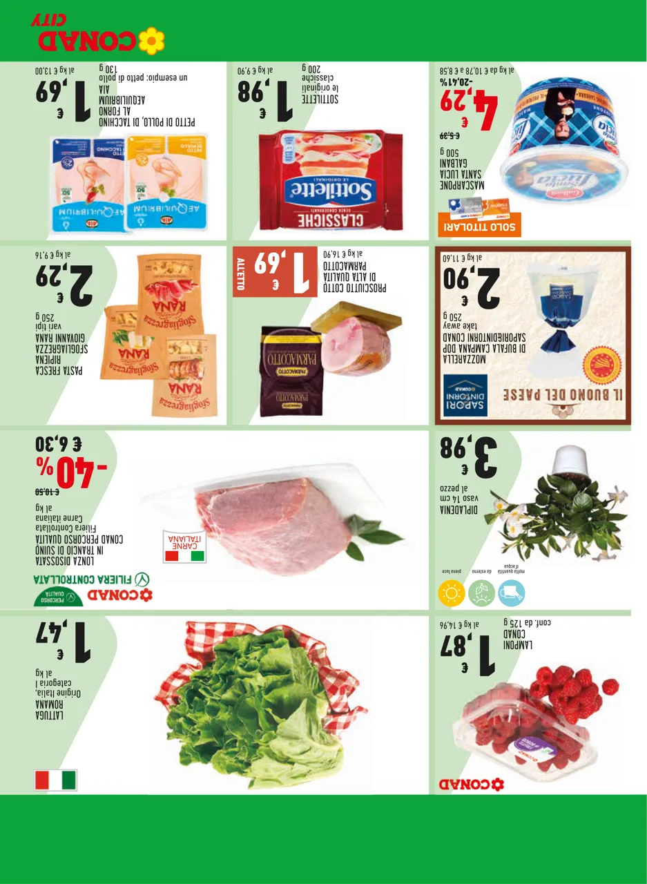 Pagina 19
